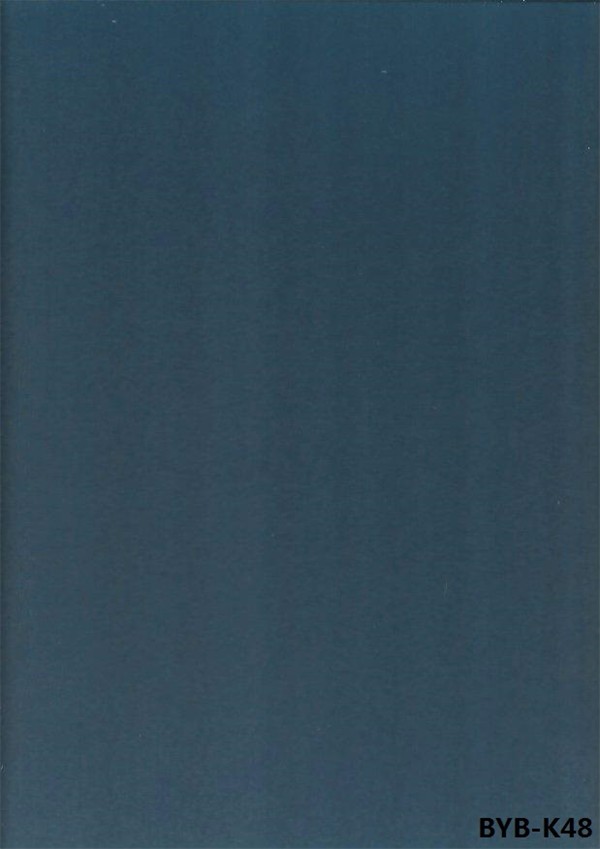 K48